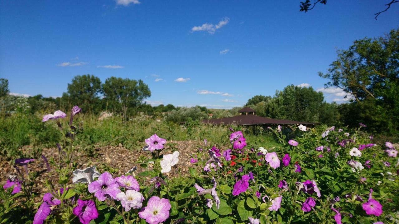 Szellos Ret Camping Balvanyos Екстериор снимка