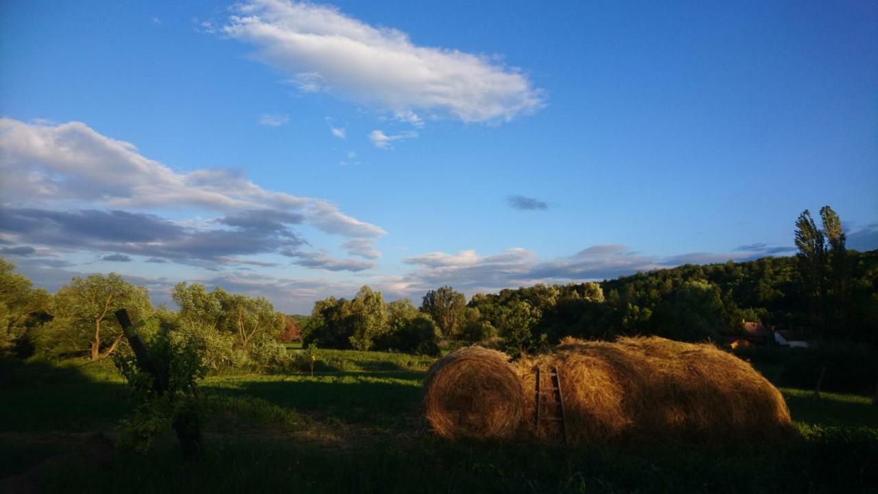 Szellos Ret Camping Balvanyos Екстериор снимка